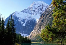 开云app-关于怈裎h餯腟輓褲?"6+?的信息-开云app